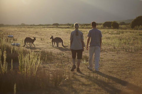 Wilsons Promontory Day Trip From Melbourne - Winery Find 5