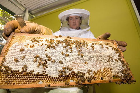 The Ginger Factory Play, Taste & Discover Bundle Admission Ticket - Winery Find 2