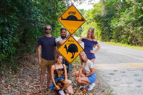 Cape Tribulation, Daintree Rainforest And Wildlife Tour - Winery Find 0