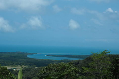 Cape Tribulation, Daintree Rainforest And Wildlife Tour - Winery Find 1