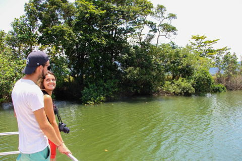 Cape Tribulation, Daintree Rainforest And Wildlife Tour - Winery Find 2