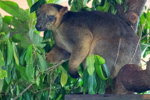Virtual Interactive Australian Wildlife Tour With Private Guide-Wildlife Habitat - Winery Find 4