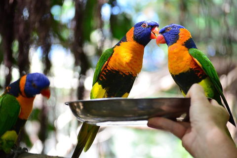 Wildlife Habitat Port Douglas - Winery Find 0
