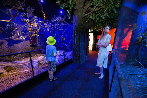 Wildlife Habitat Port Douglas - Winery Find 4