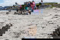 Kangaroo Island in a Day Tour from Adelaide