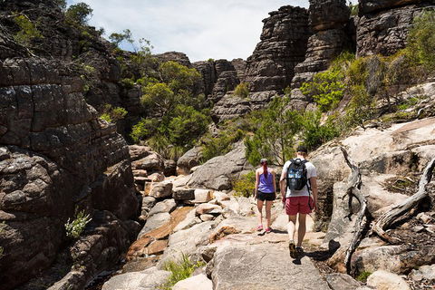 Grampians National Park With Kangaroos And MacKenzie Falls From Melbourne - Winery Find 3