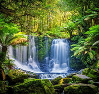Day Tour in Mt. Field Mt. Wellington Bonorong Wildlife Sanctuary and Richmond - Winery Find