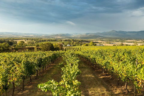 Yarra Valley Local Produce And Wine Tasting Tour - Winery Find 3