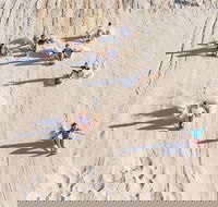 Unlimited Sandboarding - Winery Find