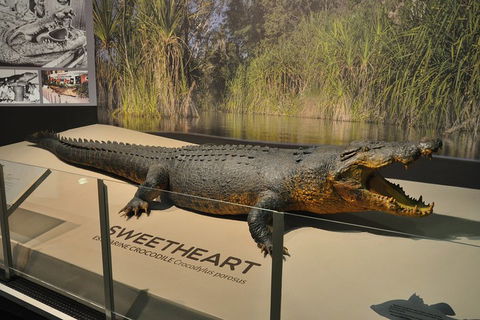 Explore Darwin City Sights Including Key Attractions - Winery Find 2