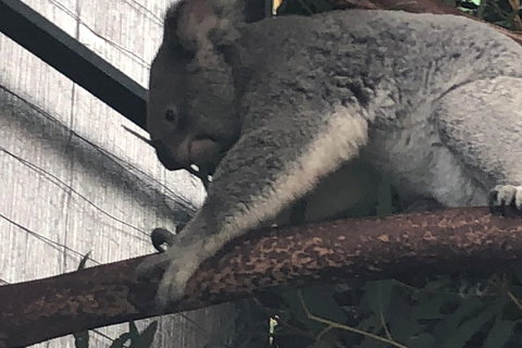 Perth Hills - Wildlife, Art & Gastronomy - Winery Find 3