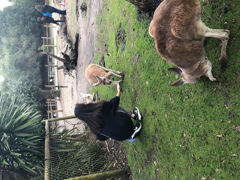 Perth Hills - Wildlife, Art & Gastronomy - Winery Find 4