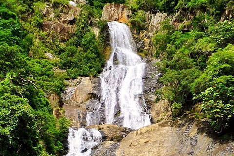 Barron Gorge And Kuranda National Park Half Day Rainforest And Waterfall 4WD Tour From Cairns - Winery Find 1
