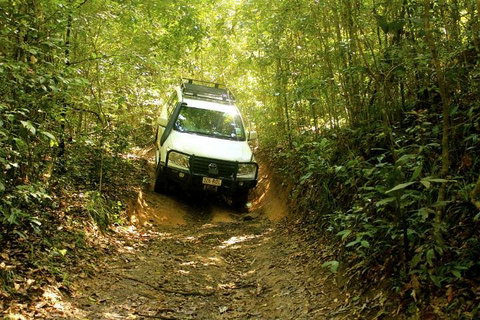 Barron Gorge And Kuranda National Park Half Day Rainforest And Waterfall 4WD Tour From Cairns - Winery Find 2
