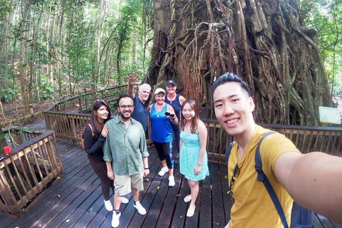Barron Gorge And Kuranda National Park Half Day Rainforest And Waterfall 4WD Tour From Cairns - Winery Find 5