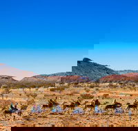 Alice Springs Camel Tour - Winery Find