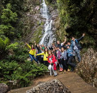 5-Day Lap of Tasmania Tour from Hobart flexible ticket - Winery Find