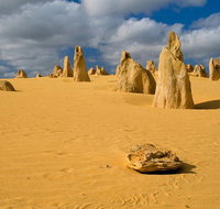 The Pinnacles Sea and Dunescapes Bush Reserve and Sunset Day Tour - Winery Find