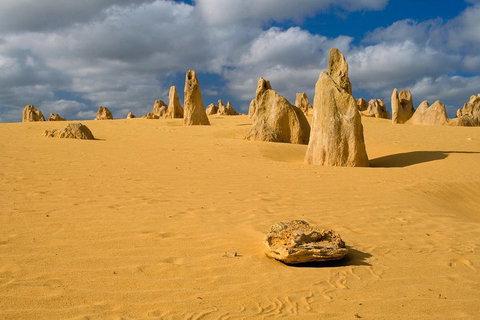 The Pinnacles, Sea And Dunescapes, Bush Reserve And Sunset Day Tour - Winery Find 0