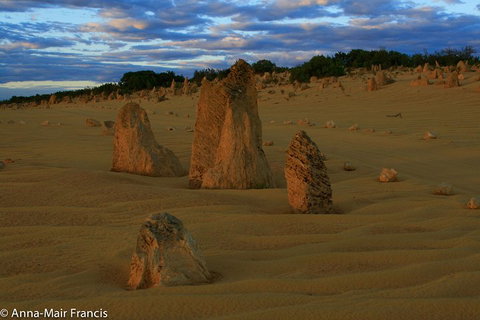 The Pinnacles, Sea And Dunescapes, Bush Reserve And Sunset Day Tour - Winery Find 1
