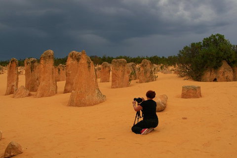 The Pinnacles, Sea And Dunescapes, Bush Reserve And Sunset Day Tour - Winery Find 2