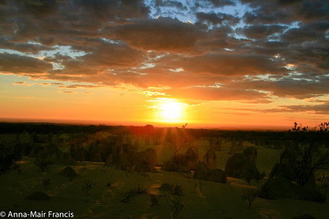 The Pinnacles, Sea And Dunescapes, Bush Reserve And Sunset Day Tour - Winery Find 3