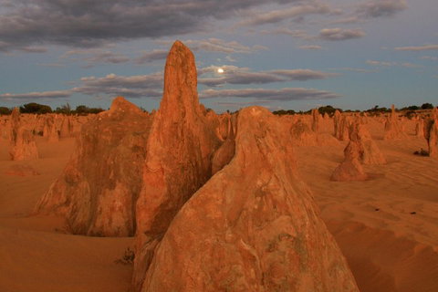 The Pinnacles, Sea And Dunescapes, Bush Reserve And Sunset Day Tour - Winery Find 4