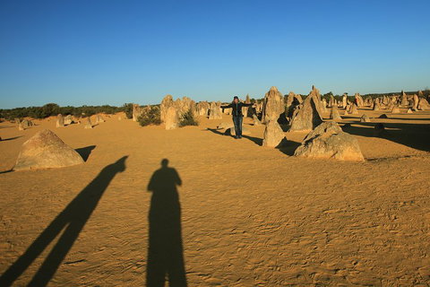 The Pinnacles, Sea And Dunescapes, Bush Reserve And Sunset Day Tour - Winery Find 5