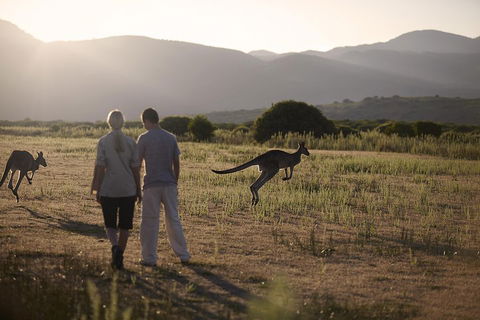Overnight Daylesford And Macedon Ranges Gourmet Food Trail Tour From Melbourne - Winery Find 1