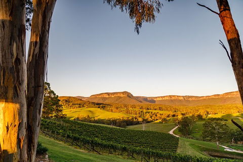 Taste Of The Blue Mountains - Lunch & Wine Tasting, Beer, Cider & Gin Tasting - Winery Find 1