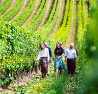 Tasmanian Wine Tour - Winery Find