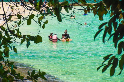 Green Island Day Trip From Cairns - Winery Find 2