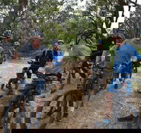 Fully guided E-Mountain Bike Tour on the beautiful Mornington Peninsula. - Winery Find