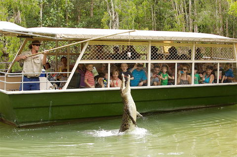 Hartley's Crocodile Adventure Half-Day Tour - Winery Find 0