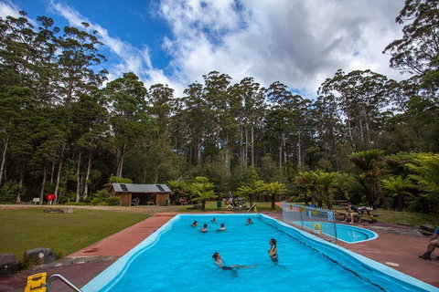 Tahune Airwalk Active Day Trip From Hobart Including Hastings Caves - Winery Find 0