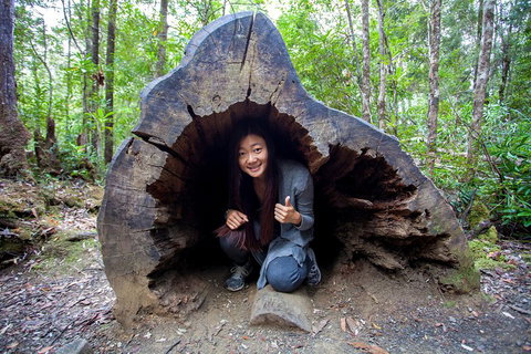 Tahune Airwalk Active Day Trip From Hobart Including Hastings Caves - Winery Find 2