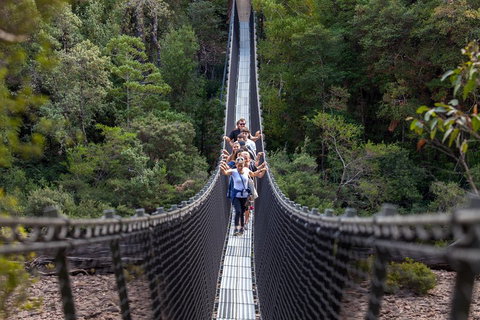Tahune Airwalk Active Day Trip From Hobart Including Hastings Caves - Winery Find 3