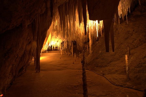Tahune Airwalk Active Day Trip From Hobart Including Hastings Caves - Winery Find 4