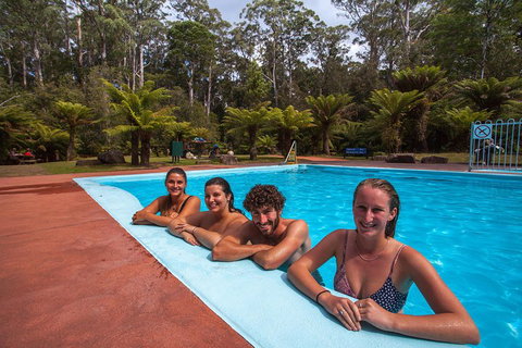 Tahune Airwalk Active Day Trip From Hobart Including Hastings Caves - Winery Find 5