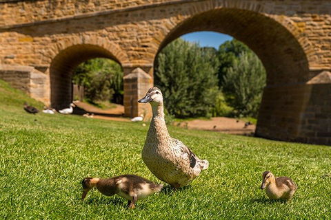 Richmond Historic Afternoon Tour From Hobart - Winery Find 1