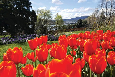 Hobart Half-Day Sightseeing Coach Tram Tour - Winery Find 4
