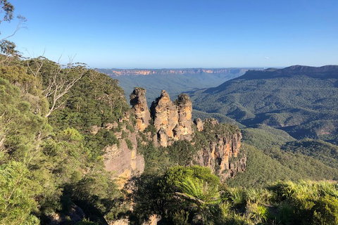 Luxury Blue Mountains Tour With Aussie BBQ Lunch And Wine Tasting - Winery Find 1