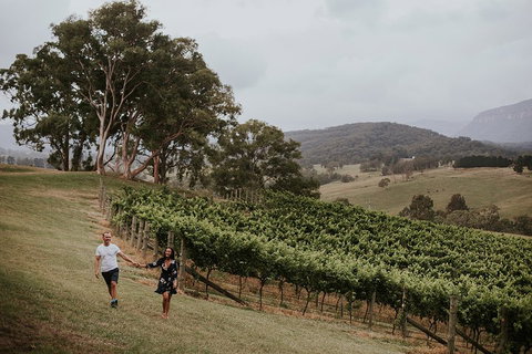 Luxury Blue Mountains Tour With Aussie BBQ Lunch And Wine Tasting - Winery Find 3