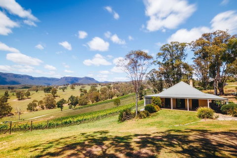 Luxury Blue Mountains Tour With Aussie BBQ Lunch And Wine Tasting - Winery Find 5