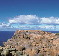 4 Day Tour Albany Margaret River Valley of the Giants TreeTop Walk from Perth - Winery Find