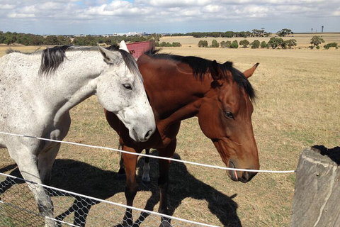 Legends & Champions Tour - Winery Find 1