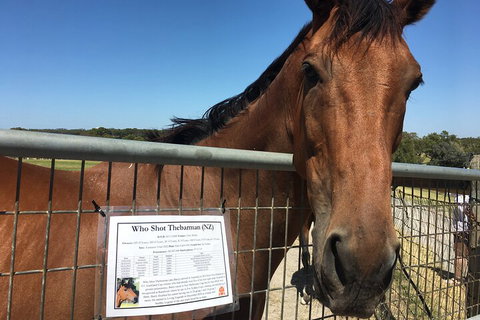 Legends & Champions Tour - Winery Find 4