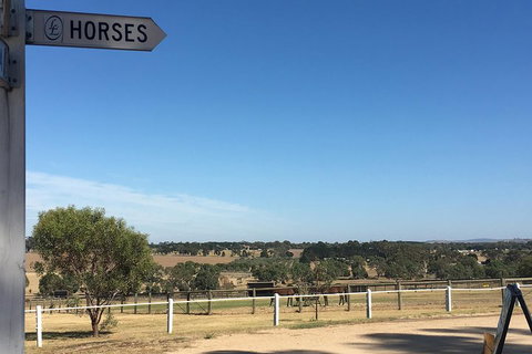Legends & Champions Tour - Winery Find 5