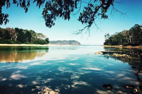 Full-Day Guided Bruny Island Tour From Hobart - Winery Find 1