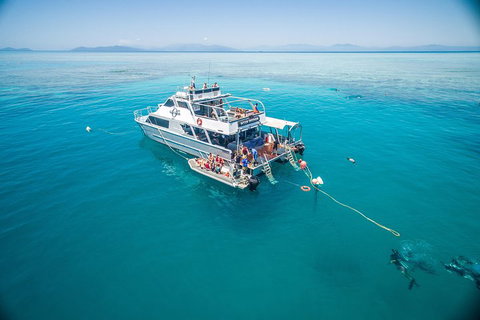 Ocean Freedom Great Barrier Reef Personal Luxury Snorkel & Dive Cruise, Cairns - Winery Find 0